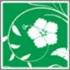 Logo Blumen Steguweit Manfred e.K. Friedhofsgärtnerei
