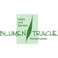 Blumen Trache Dresden