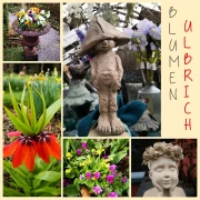 Blumen Ulbrich Blumenhandel Solingen