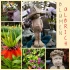 Logo Blumen Ulbrich Blumenhandel