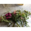 Blumen Ulrike Keil-Schemmann Solingen