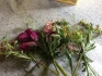 Logo Blumen Ulrike Keil-Schemmann