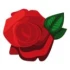 Logo Blumen und Gartenbau Inh. Leiterer und Rödel Blumengeschäft