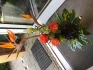 Logo Blumen und Grabpflege Franziska Raab