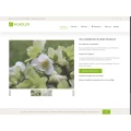 Blumen Wendler Hersbruck