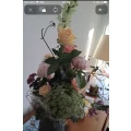 Blumen - Wersuhn Zingst