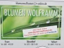 Logo Blumen Wolframm GmbH