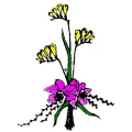 Blumen W&uuml;nsche Elstra