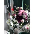 Blumen Zauber Eck Dresden