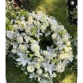 Blumen Zitzelsberger Ingolstadt
