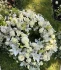 Logo Blumen Zitzelsberger
