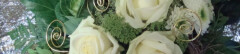 Logo Blumendiele Bardowick