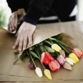 Blumengarten Marquardt Renningen