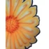Logo Blumengroßhandel Prochnow GmbH