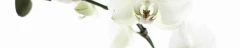 Logo Blumenhaus Am Pfaffenteich Inh. Rieckhoff Monika Blumenbetrieb