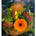Blumenhaus Fickinger und Lanzerath Norheim
