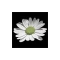 Logo Blumenstil Christina Weih
