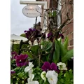 Floristik&amp;Wohnaccessiores