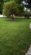 Rollrasen.jpg