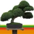 Logo Bonsai Winkler