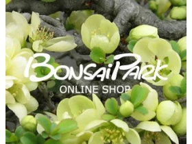 Bonsaipark Remscheid | Mai 2026 aktualisiert