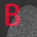 Logo Boob Werbung Inh. Uwe Reisgies