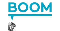 Logo BOOM GmbH