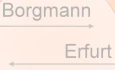 Logo Borgmann Elektro & Kamine