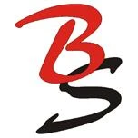 Logo Borgs & Schwarz GbR