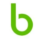 Logo borio.tv