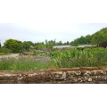 Botanischer Garten Solingen Solingen