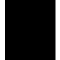 Logo Brand
