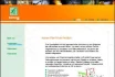 Logo Brand-Plan Jonas GmbH CAD-Zeichner