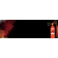 Logo Pulay, A.