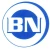 Logo Braun und Nickel GmbH