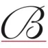 Logo Brautmeier Leiterplatten Service-Station GmbH