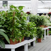Bressler Gartenbau und Pflanzencenter Teistungen