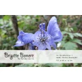 Brigitte Bonerz Naturheilpraxis Wadern