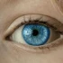 Logo Brillenmacher GmbH Augenoptik Kontaktlinsen