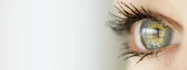 Logo Brillenshop Augenoptikermeister