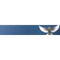 Logo Brinkmann