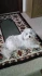 Logo Britta Elble Hundesalon