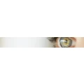 Logo Carre-Optik GmbH, Br&uuml;cher, Roland