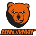 Logo BR&Uuml;MMI die Kfz Sicherheit