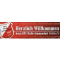 Logo BSV Halle-Ammendorf 1910 e.V.