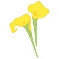 Logo Buchhaltungsservice und Beratung Ines Bracker