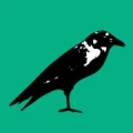 Logo Buchhandlung Der Rabe Paul Kaufmann u. Partner GmbH