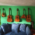 B&uuml;cher An- und Verkauf, Antiquariat, Gitarrenunterricht Niederwallmenach