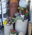 Logo Bühler Blumen und Gärtnerei