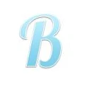 Logo B&uuml;rkle Immobilien